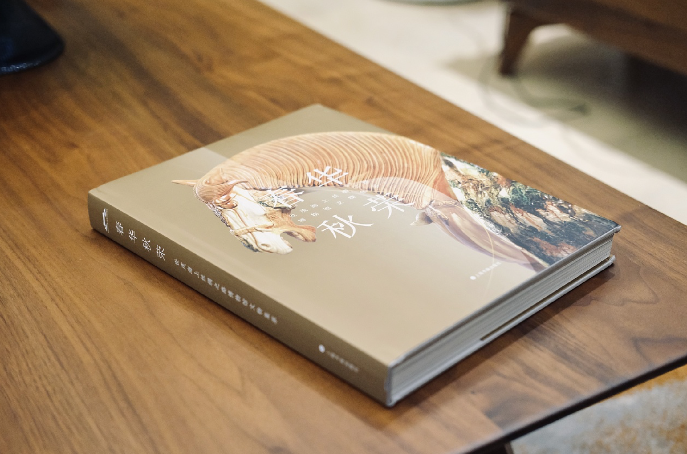 傳統元素宣傳畫冊設計